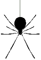 Get The Spider!